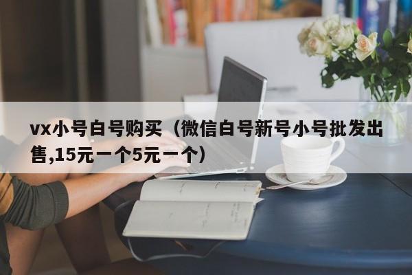 vx小号白号购买（微信白号新号小号批发出售,15元一个5元一个）