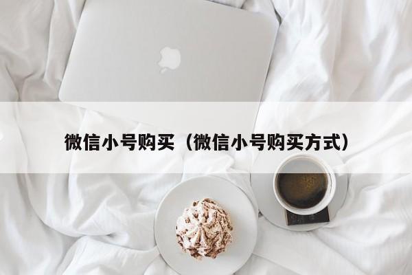 微信小号购买（微信小号购买方式）