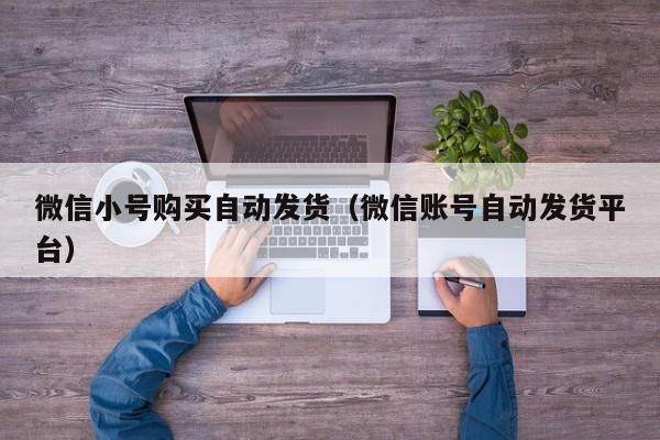 微信小号购买自动发货（微信账号自动发货平台）