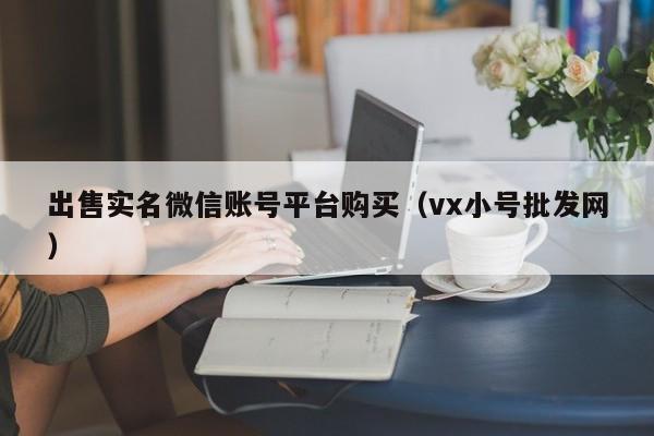 出售实名微信账号平台购买（vx小号批发网）