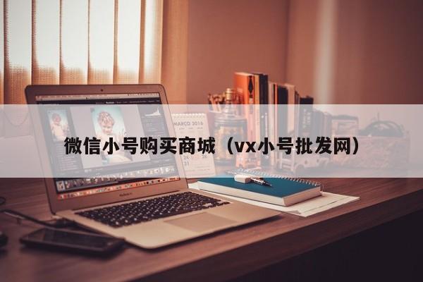 微信小号购买商城（vx小号批发网）