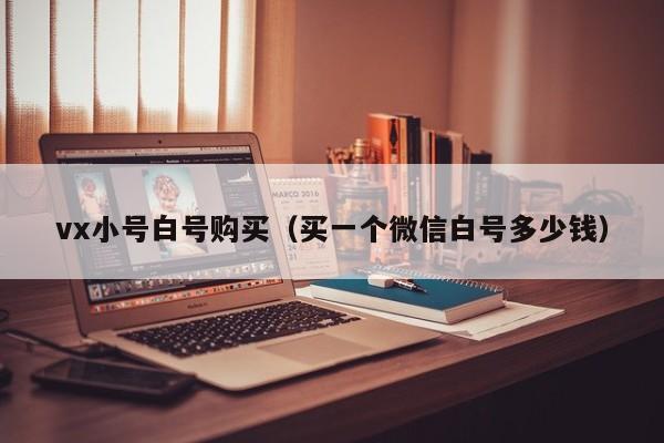 vx小号白号购买（买一个微信白号多少钱）