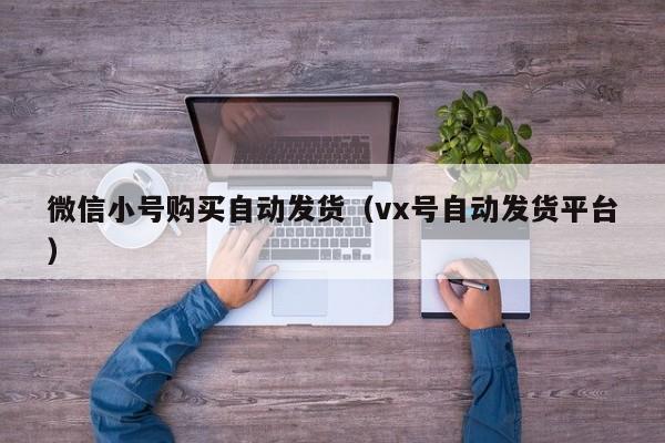 微信小号购买自动发货（vx号自动发货平台）