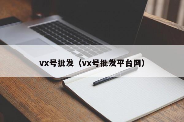 vx号批发（vx号批发平台网）