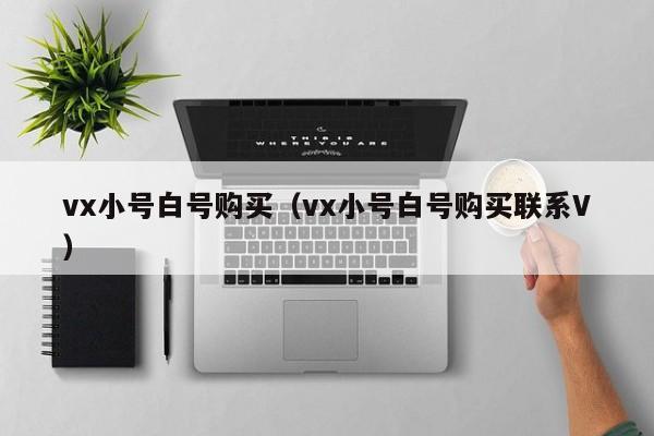 vx小号白号购买（vx小号白号购买联系V）