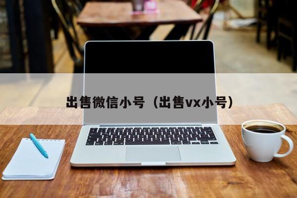 出售微信小号（出售vx小号）