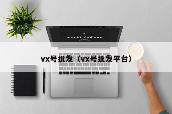 vx号批发（vx号批发平台）