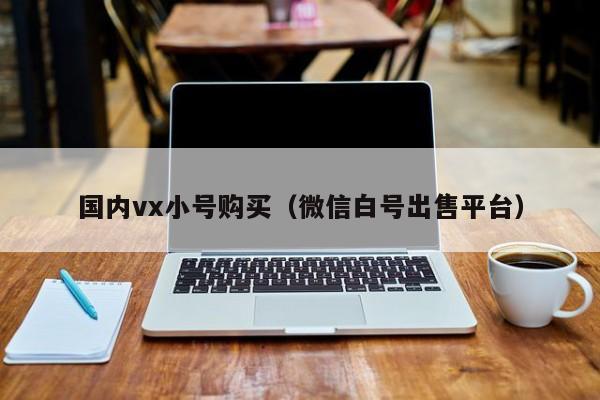 国内vx小号购买（微信白号出售平台）